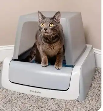 Aldi Nord PetSafe Selbstreinigende Katzentoilette Angebot