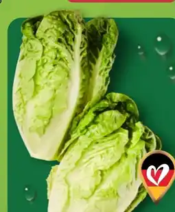 Aldi Nord Salatherzen Mini Romana Angebot