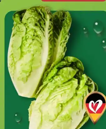 Aldi Nord Salatherzen Mini Romana Angebot