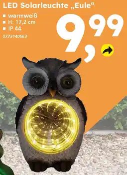 Globus Baumarkt LED Solarleuchte „Eule" Angebot