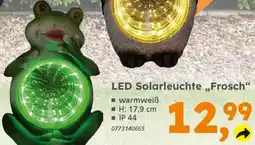 Globus Baumarkt LED Solarleuchte ,,Frosch" Angebot