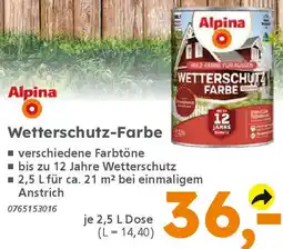 Globus Baumarkt Alpina Wetterschutz-Farbe Angebot