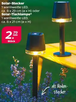 NETTO Solar-Stecker oder Solar Tischlampe Angebot