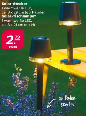 NETTO Solar-Stecker oder Solar Tischlampe Angebot