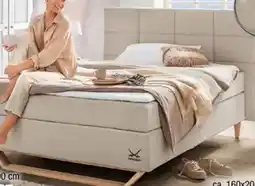 Ostermann Sansibar Boxspringbett Billund Angebot