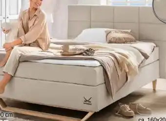 Ostermann Sansibar Boxspringbett Billund Angebot