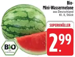 Edeka Bio Mini-Wassermelone Angebot