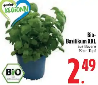 Edeka Bio-Basilikum XXL Angebot