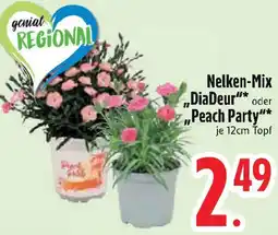 Edeka Nelken-Mix „DiaDeur" oder Peach Party Angebot
