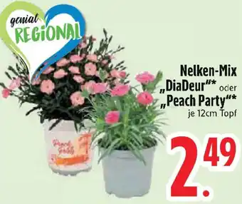 Edeka Nelken-Mix „DiaDeur" oder Peach Party Angebot