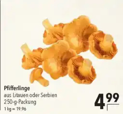 CITTI Markt Pfifferlinge Angebot