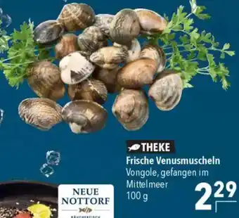 CITTI Markt Frische Venusmuscheln Angebot