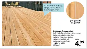 Hellweg Douglasie-terrassendiele Angebot
