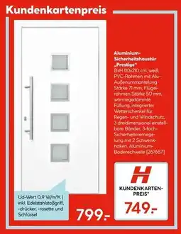 Hellweg Aluminium-sicherheitshaustür prestige Angebot