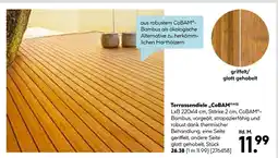 Hellweg Terrassendiele cobam Angebot