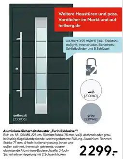 Hellweg Aluminium-sicherheitshaustür turin exklusive, anthrazit Angebot