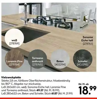 Hellweg Vielzweckplatte weiß Angebot