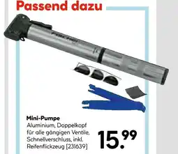 Hellweg Mini-pumpe Angebot