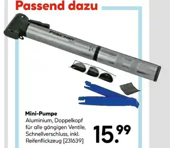Hellweg Mini-pumpe Angebot