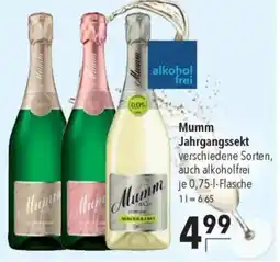 CITTI Markt Mumm Jahrgangssekt Angebot
