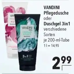 CITTI Markt VANDINI Pflegedusche oder Duschgel 3in1 Angebot