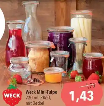CITTI Markt Weck Mini-Tulpe Angebot