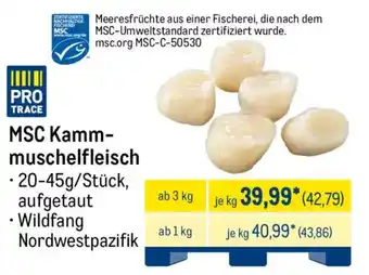 METRO MSC Kammmuschelfleisch Angebot