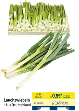 METRO Lauchzwiebeln Angebot