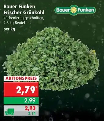 L. STROETMANN GROSSMARKT Bauer Funken Frischer Grünkohl 2,5kg Beutel Angebot