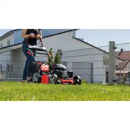 Netto Marken-Discount Scheppach Benzinrasenmäher - versch. Ausführungen Angebot