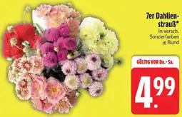 Edeka 7er Dahlienstrauẞ Angebot