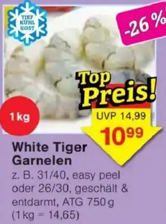 Jawoll White Tiger Garnelen Angebot