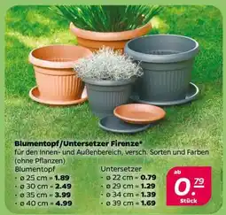 NETTO Blumentopf/Untersetzer Firenze Angebot