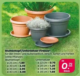 NETTO Blumentopf/Untersetzer Firenze Angebot