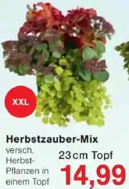 Jawoll Herbstzauber-Mix Angebot