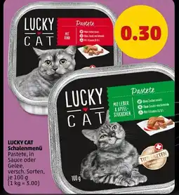 PENNY Lucky cat schalenmenü Angebot