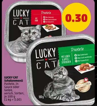 PENNY Lucky cat schalenmenü Angebot