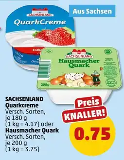 PENNY Sachsenland quarkcreme oder hausmacher quark Angebot