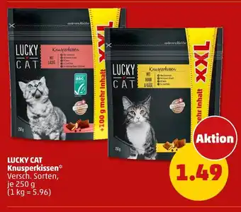 PENNY Lucky cat knusperkissen Angebot