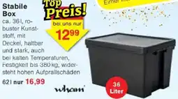 Jawoll Stabile Box Angebot