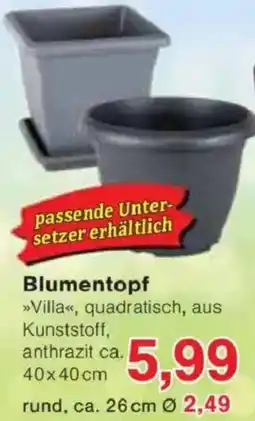 Jawoll Blumentopf Angebot