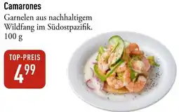 Galeria Markthalle Camarones Angebot