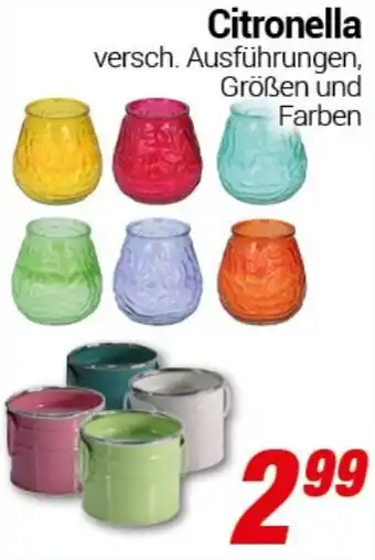 CENTERSHOP Citronella Angebot