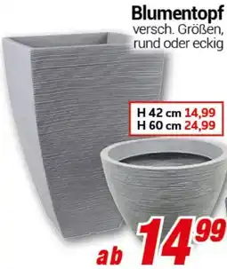 CENTERSHOP Blumentopf Angebot