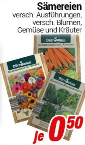 CENTERSHOP Sämereien Angebot
