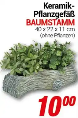 CENTERSHOP Keramik- Pflanzgefäß BAUMSTAMM Angebot
