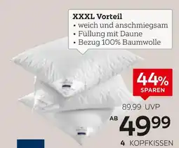 XXXLutz Billerbeck kopfkissen „polarstern“ Angebot