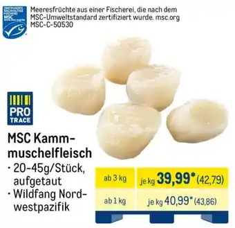 METRO MSC Kammmuschelfleisch Angebot