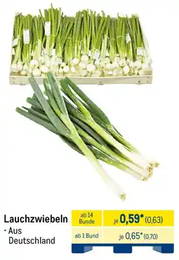 METRO Lauchzwiebeln Angebot