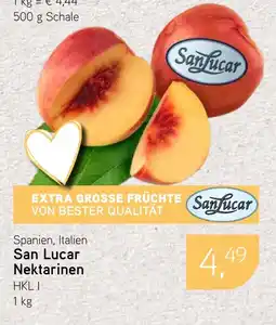 Dornseifer San Lucar Nektarinen Angebot
